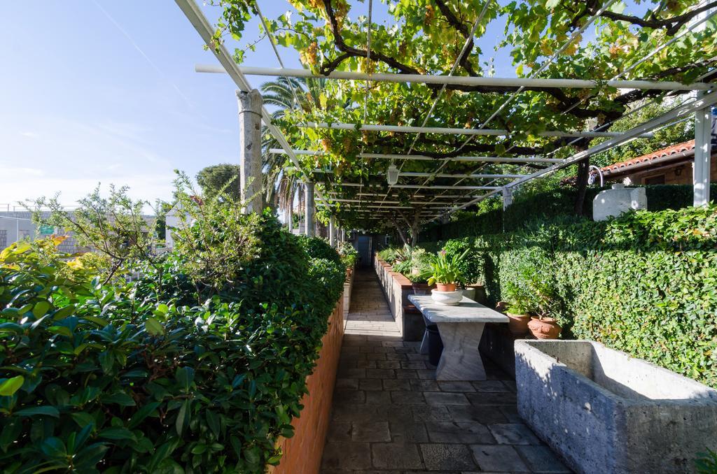 Guest House Jelica Dubrovnik Bagian luar foto